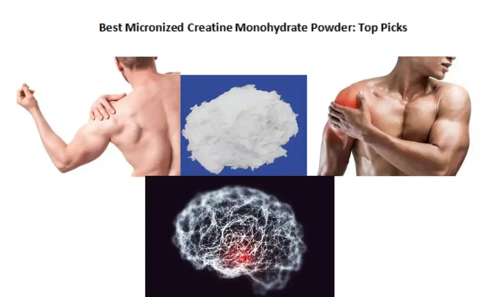 Best Micronized Creatine Monohydrate Powder: Top Picks